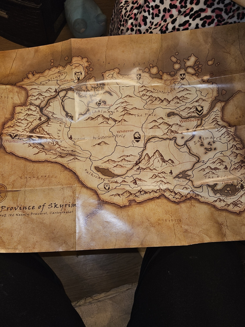 Skyrim Province Vintage Map Poster - Brown